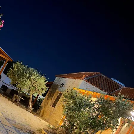 Eftichia Villa Pitsidia